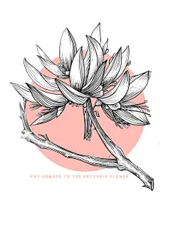 板画风｜刺桐花 - 小红书
