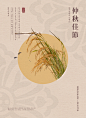 丰收麦穗 创意圆景 金秋圆月 中秋节海报设计PSD ti440a0501