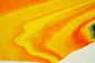 Spots on Behance