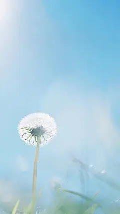 简洁小清新无水印图片手机壁纸