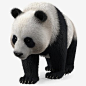 大熊猫走路姿势毛皮3D模型
