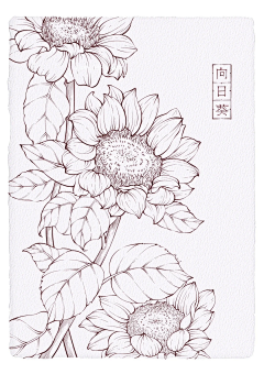 徐楚楚采集到线描系列