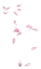 透明小素材