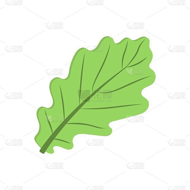 扁平化设计风格的橡树叶图标。