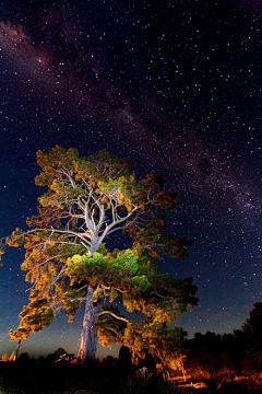 chenghz采集到万里星空