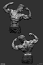 AnatoRef : A collection of anatomy and pose references for artists.