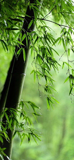 最棒设计师采集到美景