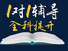 种子成采集到头图