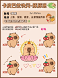 豚门集合卡皮巴拉快闪来啦！！敲可爱 - 小红书