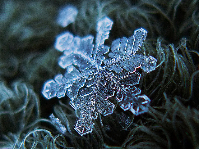 微距雪花摄影，肉眼看不到的造物