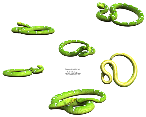 Green Snakes in the ...