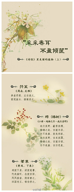素北采集到中国. 国学
