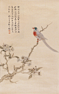 著名花鸟画画家 俞致贞（1915—1995.5.）绘画作品 ​​​​