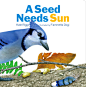 A Seed Needs Sun on Behance