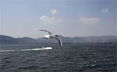 滇池自助游图片