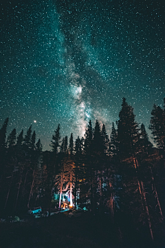 陆墨清采集到夜景 星空