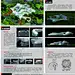 PSD格式毕业设计展板39
环艺专业毕业设计展板设计模板psd可编辑源文件