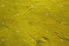 黄色抽象墙背景与不同色调的黄色纹理