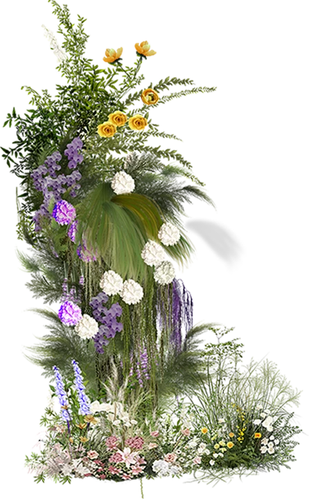 h123-花瓣网