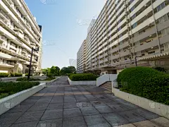 复杂性,房屋建设,水平画幅,地形,无人,东京,日本,城市生活,户外,城市