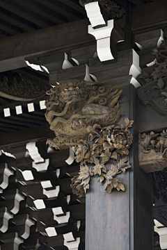 Delay采集到人文风景
