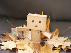 Lynn采集到Danbo 亚马逊小盒