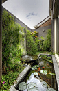 Water Garden: 