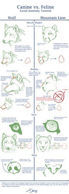 more from DeviantArt