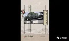 杭州绿城桃李春风最初提报：不动山湖 只动容 | 开门见山