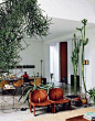 Plants | Spaces | Pinterest