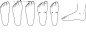 footsize