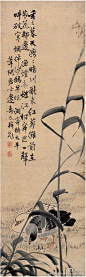 边寿民（1684—1752）清代著名花鸟画画家。初名维祺，字颐公，又字渐僧、墨仙，号苇间居士，晚年又号苇间老民、绰翁、绰绰老人，江苏淮安秀才。.