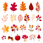 Autumn elements collection Premium Vector