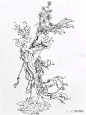 王道中白描_百度图片搜索