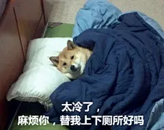 汪星人的表情包，想要获得更多的表情包关注我， 每天会不定时更新哦