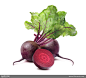 新鲜紫红色甜菜高清图片