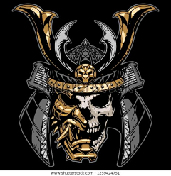 yTRwxi5C采集到武士