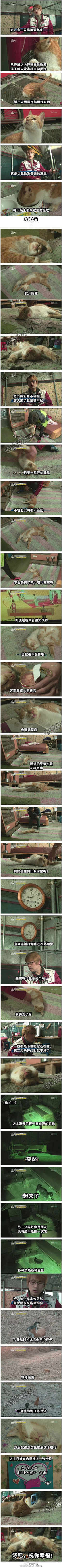 喵不同采集到pet