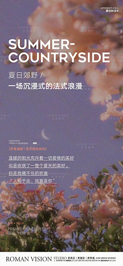 Lore°°采集到平面