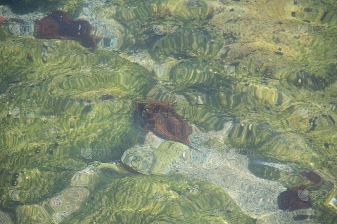水下观潮池