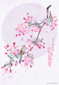 《春天的花园》 | 投稿作者：画画的青禾 ​​​​