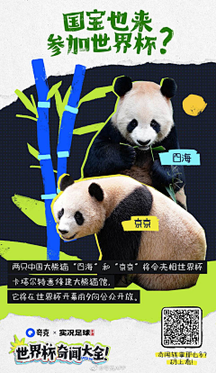 B+LNZ新西兰牛羊肉采集到素材