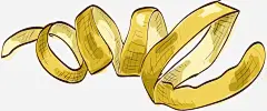 手绘橘子皮矢量图 创意素材