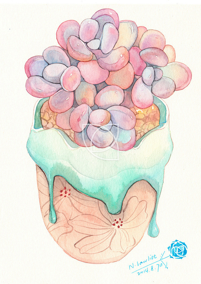 多肉植物：桃之卵#插画# #水彩# #多...