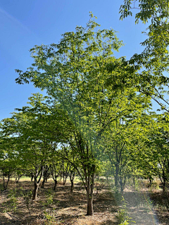 蓝blue采集到户外
