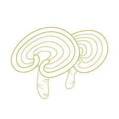 灵芝线描插画矢量图