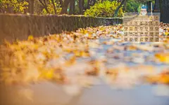 2014年11月唯美秋景月历壁纸 1920x1200