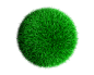 3D 球状 绿藻植物