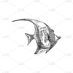 海鱼或海底珊瑚鱼vintage手绘矢量插图孤立。