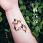 小猫纹身贴 捉迷藏可爱卡通手绘素描动物防水持久纹身贴-淘宝网